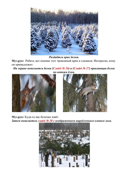 Интегрированное занятие по экологии в подготовительной группе Прогулка в зимний лес 9