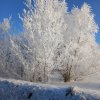 Всероссийский конкурс "На пороге зимушка-зима"