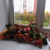 Всероссийский творческий конкурс «По земле шагает осень»