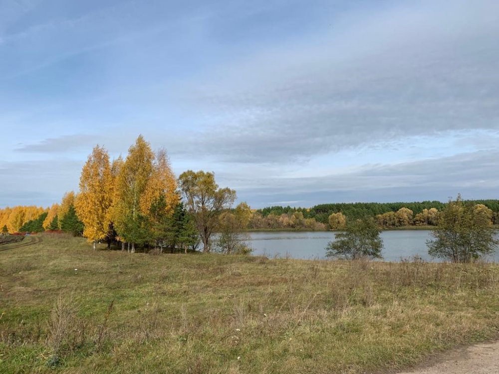 Всероссийский творческий конкурс “Унылая пора, очей очарованье…”