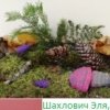 Всероссийский творческий конкурс “Унылая пора, очей очарованье…”