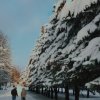 Всероссийский творческий конкурс "Волшебница зима нам дарит чудеса"
